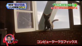 Illustration for article titled Live-Action Kiki's Delivery Service Getting a Computerized Cat